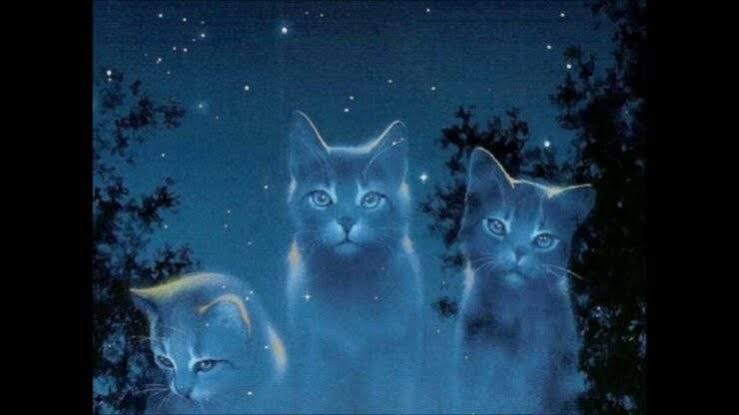 StarClan 1
