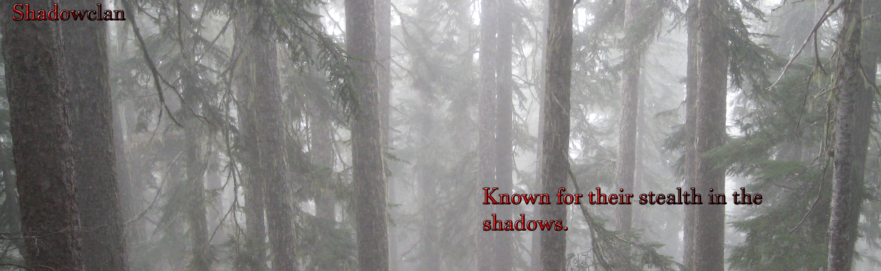 shadowclan