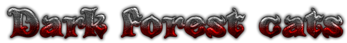 Dark Forest Text